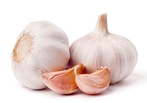 Garlic, fresh