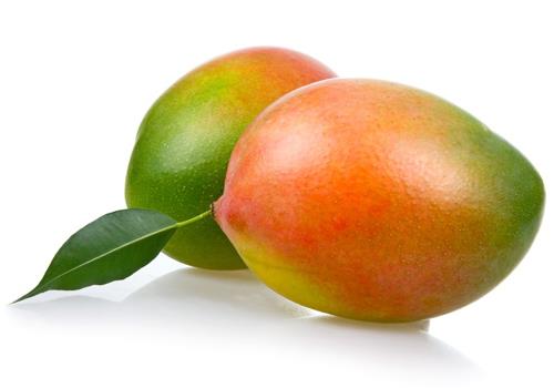 Fresh  mangoes