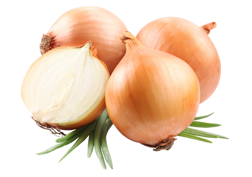 Fresh or  onions and shallots